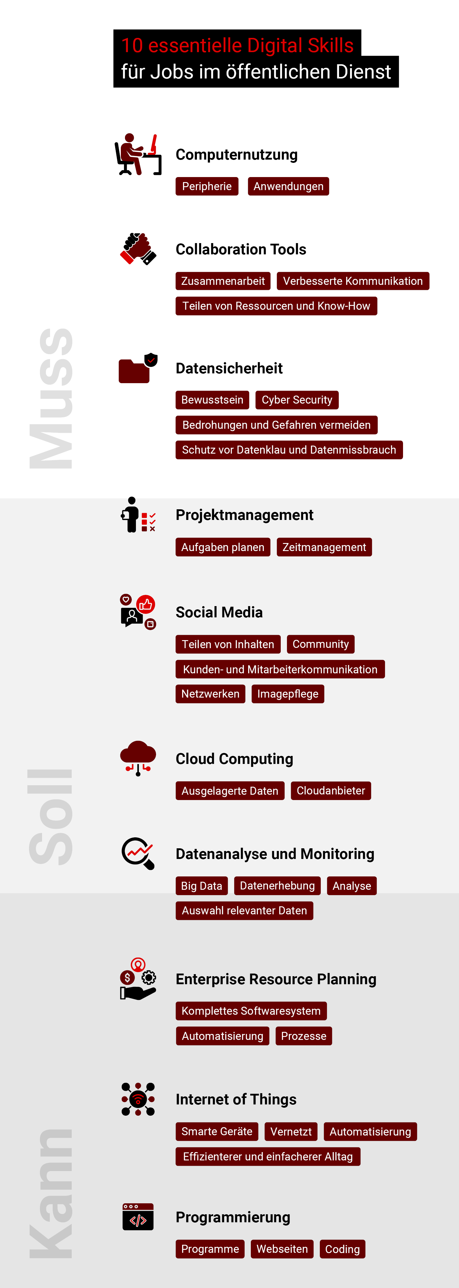 Digitalskills für Jobs im öffentlichen Dienst im Überblick