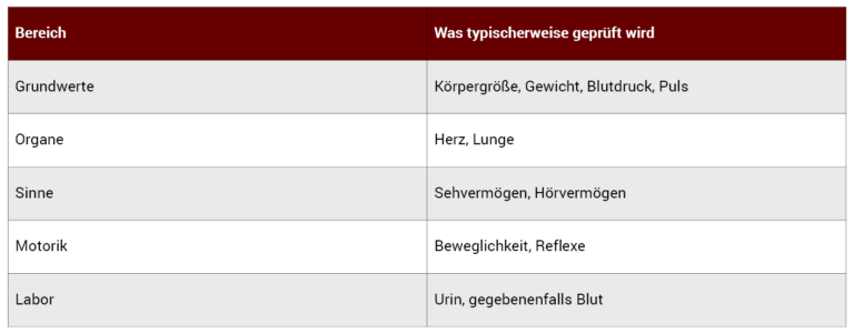 Infografik zum Ablauf der amts&auml;rztlichen Untersuchung mit &Uuml;bersicht der typischen Pr&uuml;fbereiche